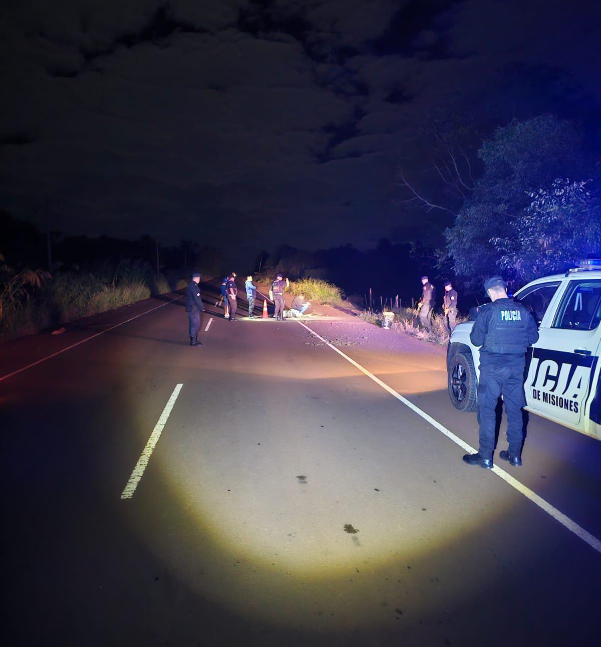 Secuestraron más de 20 kilos de marihuana en un operativo en Andresito